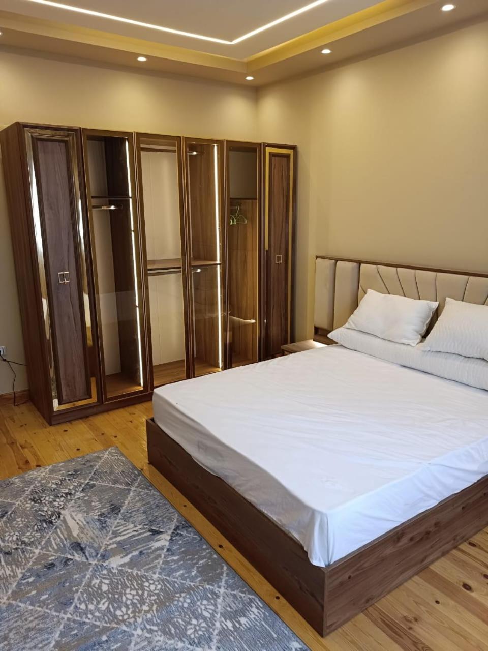 ألترا لوكس بالمهندسين Apartmán